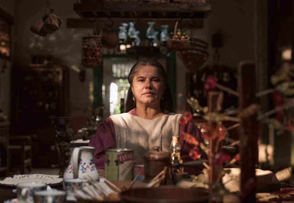 Marleyda Soto como Úrsula Iguarán em Cem Anos de Solidão